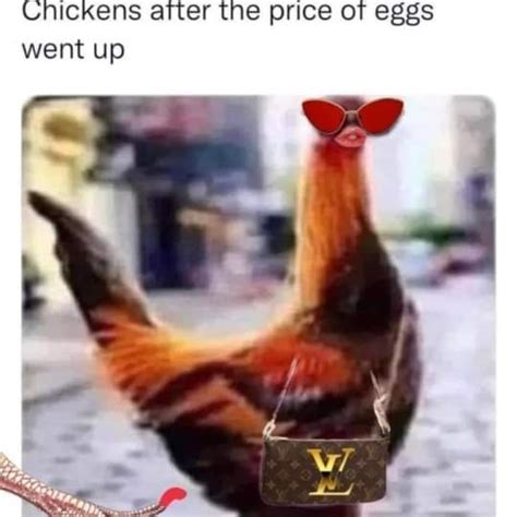 chicken louis vuitton meme|$9 a carton at my store, these Louis Vuitton chickens better.